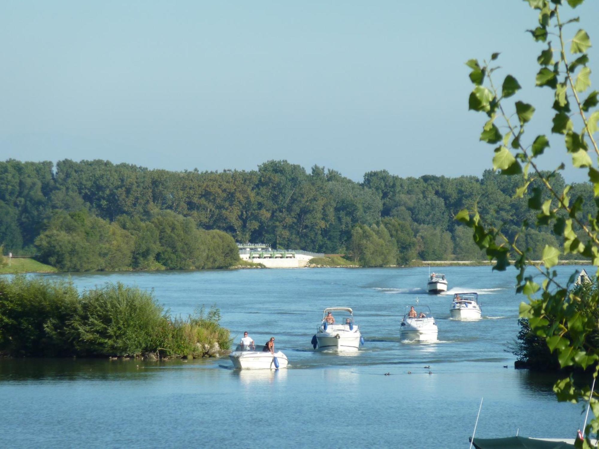 Camping & Pension Au An Der Donau Eksteriør bilde