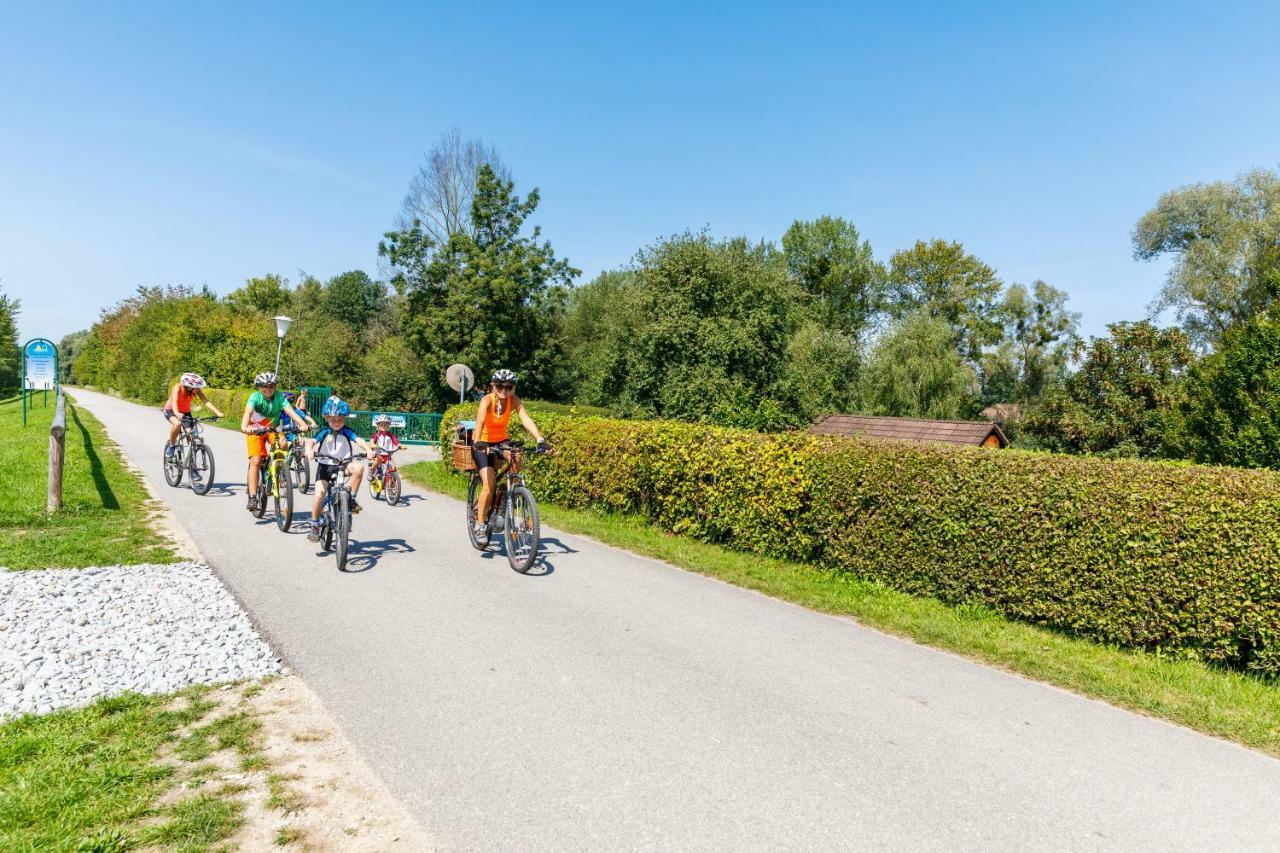 Camping & Pension Au An Der Donau Eksteriør bilde